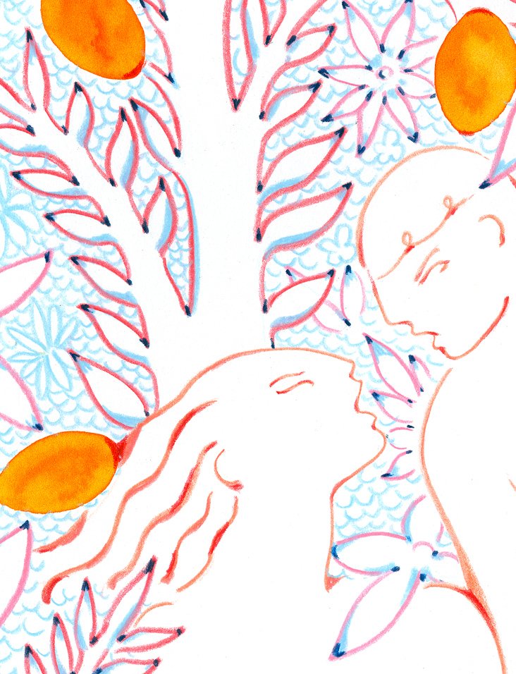 WILDLIFE- ORANGE GROVE IN THE MORNING
