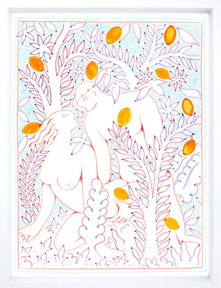 WILDLIFE- ORANGE GROVE IN THE MORNING