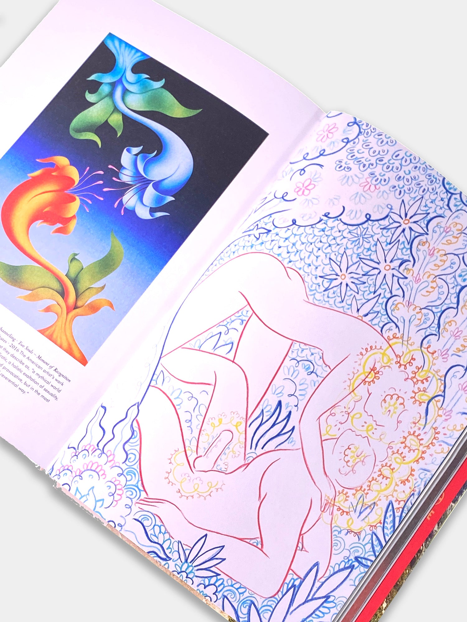 Magia vegetal: Biblioteca esotérica - Taschen
