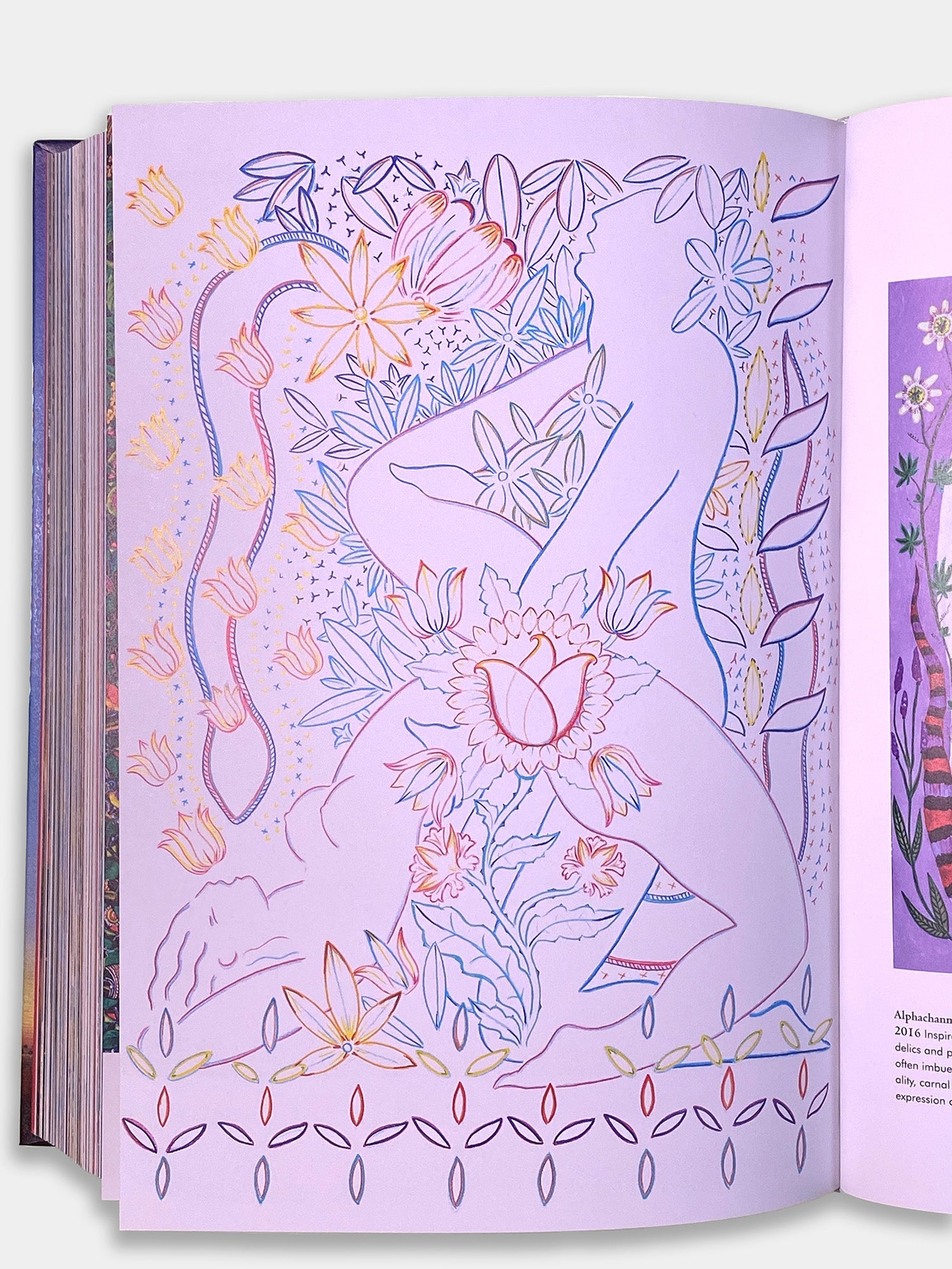 Magia vegetal: Biblioteca esotérica - Taschen