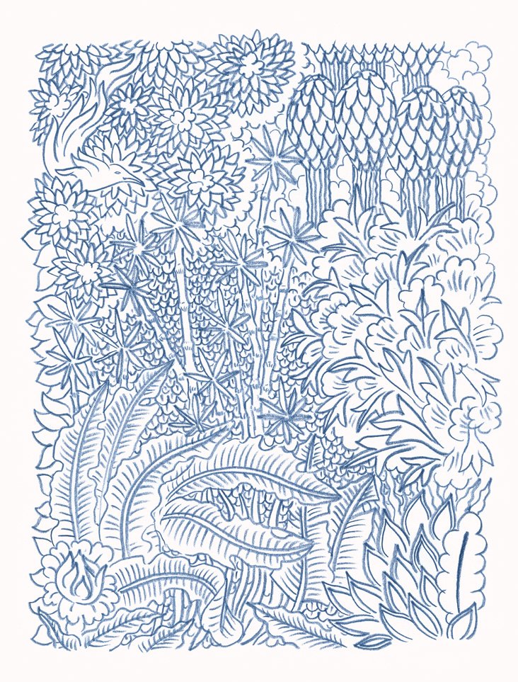 JUNGLE - FACING TOWARDS THE RIVER