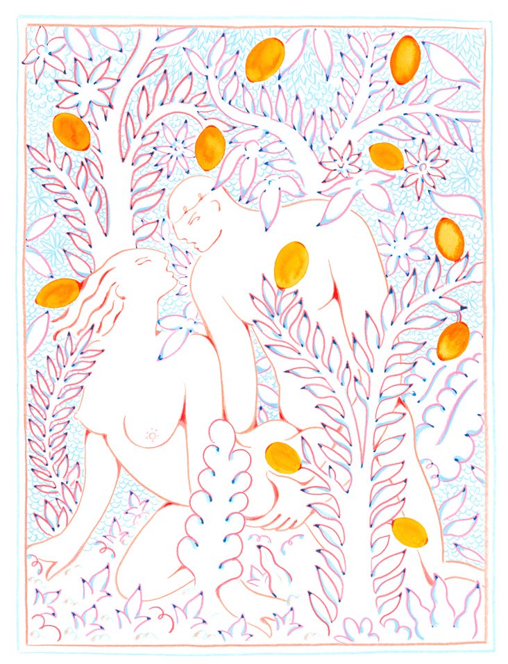 WILDLIFE- ORANGE GROVE IN THE MORNING