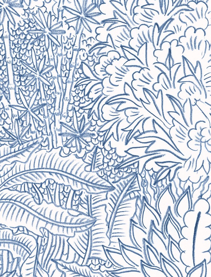 JUNGLE - FACING TOWARDS THE RIVER