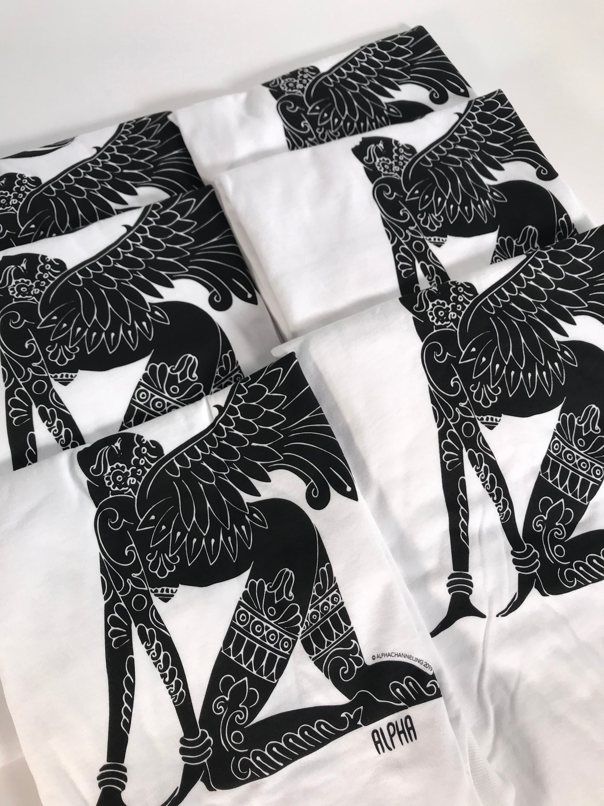 T-Shirt: Dreamer Black & White